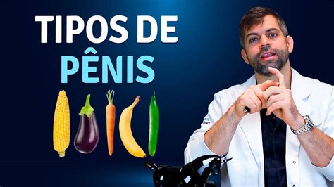 penis de chere|Pênis: tudo sobre a sua anatomia e seus problemas